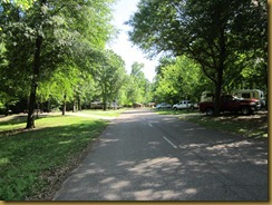 IMG_5787 IMG_5787