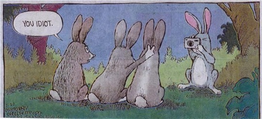 [viral-picdump-pics-32%255B2%255D.jpg]