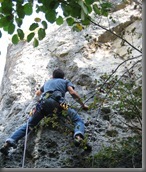 IMG_6275 IMG_6275