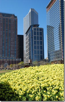 DSC_1790 DSC_1790
