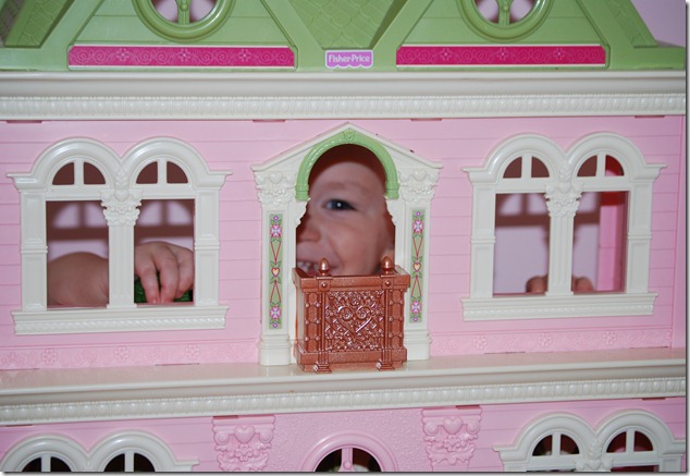 DSC_0841 DSC_0841