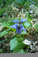 Imag0455