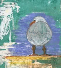 Day 9, a gull Day 9, a gull