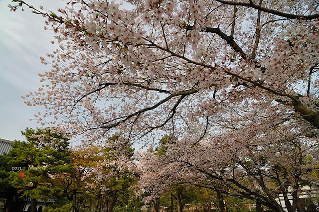 京都建仁寺