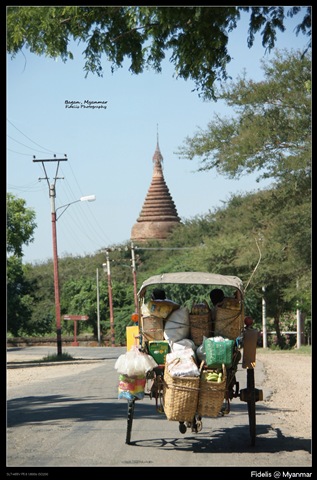 [Myanmar1303.jpg]