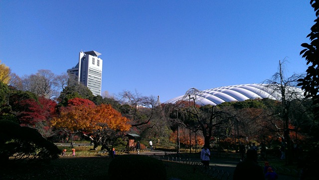 [IMAG05113.jpg]