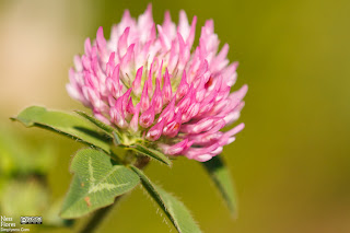 tamron180reviewsample-1 tamron180reviewsample-1