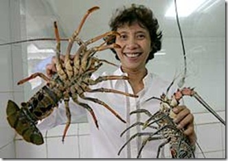 susi1 susi1