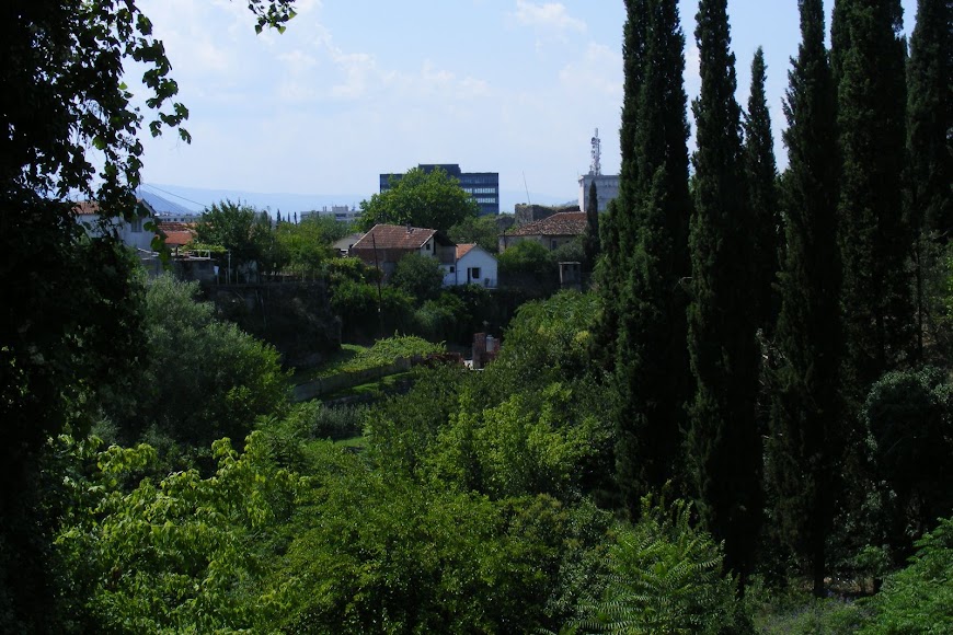 DSCF9813.JPG