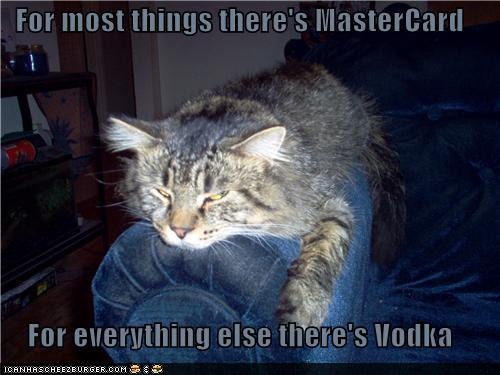 [funny-pictures-for-most-things-theres-mastercard-for-everything-else-theres-vodka%255B2%255D.jpg]