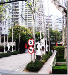 China 029 China 029