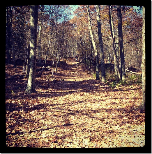 photo 2 (6)