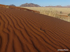 Enim Duene, Sossuvlei