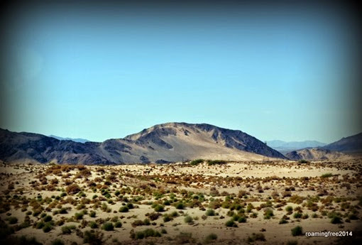 Mohave Desert
