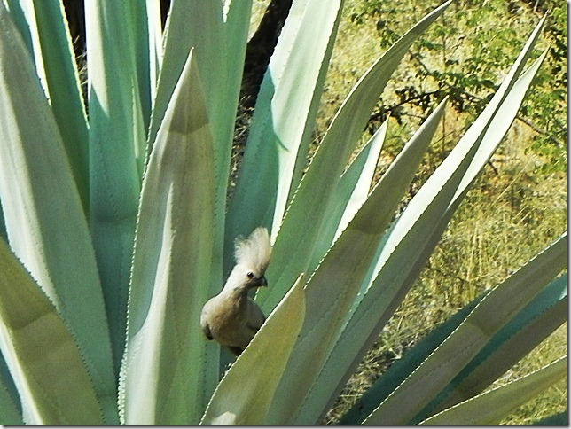 DSCN6826 DSCN6826