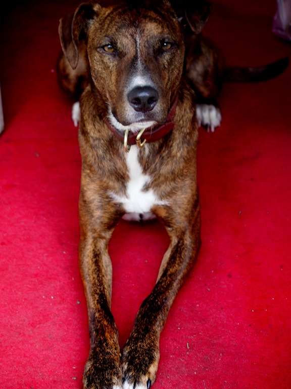 [13%2520June%252014%252013-06-2013%252011-31-03%255B3%255D.jpg]