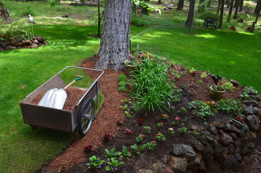 [2012-06-03%2520flowers%2520%25281%2529%255B4%255D.jpg]