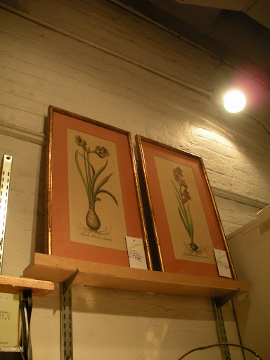 A pair of elegant vintage floral prints.