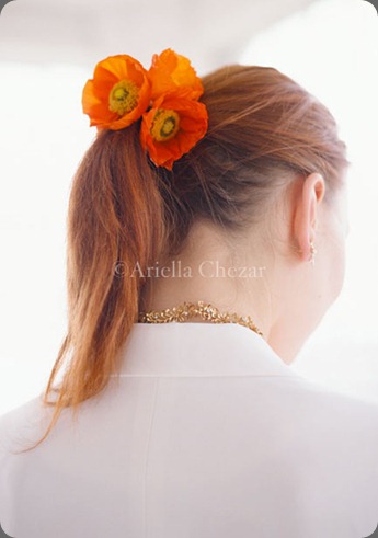 104_o16 ariella