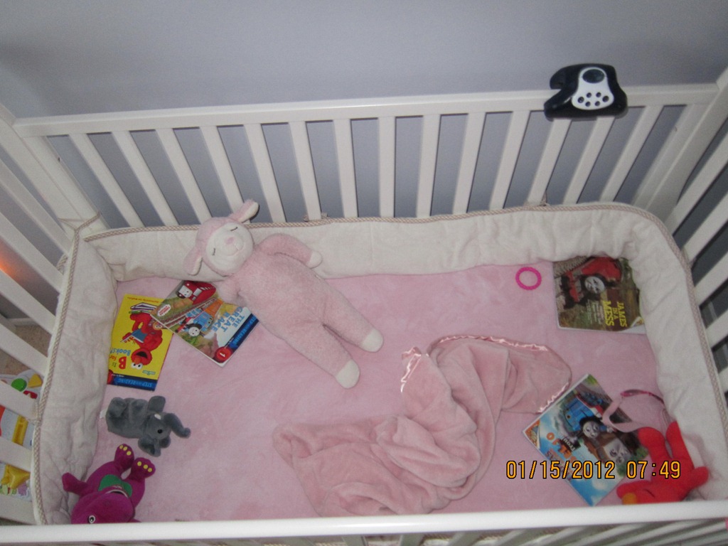 [wk104_hoarder_crib%255B3%255D.jpg]