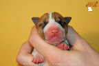Boy 2 - day 1