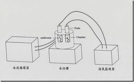 溶氧圖 溶氧圖
