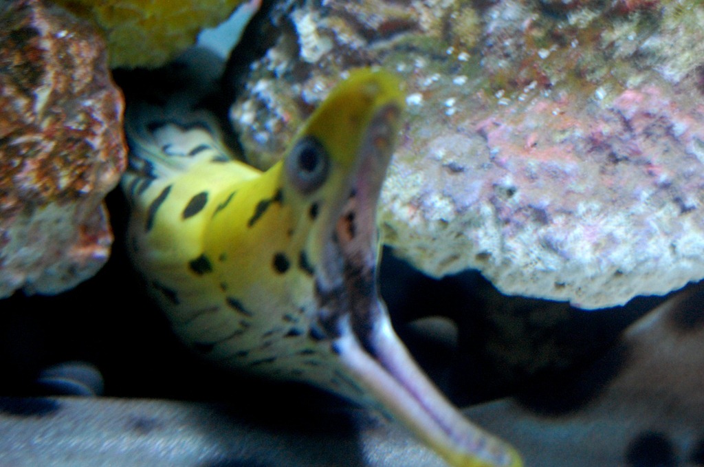 [aquariumaugust29.jpg]