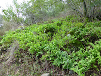 HBR_2012Dec28_037.jpg