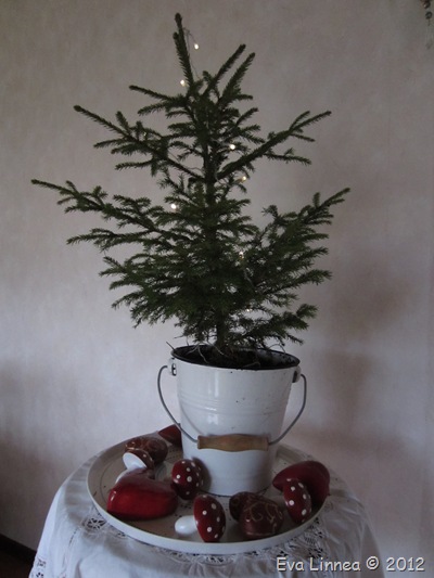 IMG_4106 IMG_4106