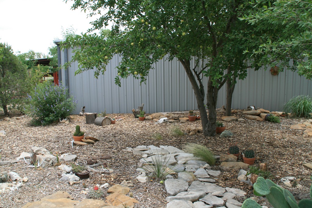 [IMG_8483%255B5%255D.jpg]