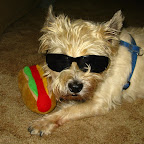 Albie