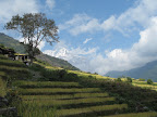Rice paddies