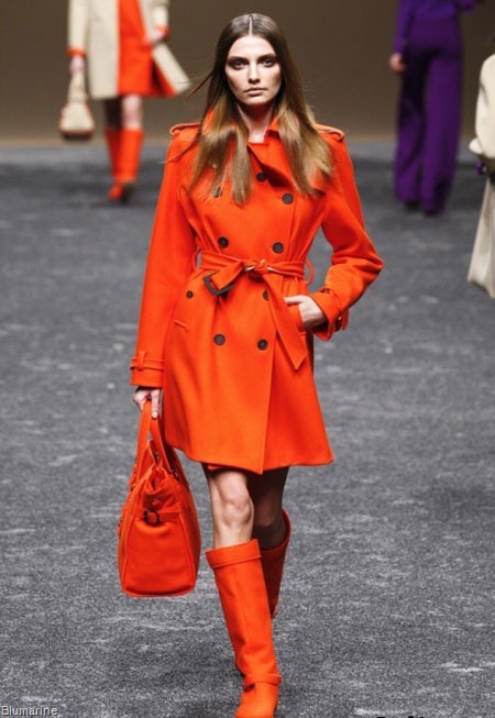 [blumarine-fall-winter-2011-2012-377.jpg]
