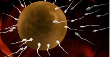 totally fre femdom movie clips increasing sperm grade