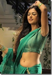 Actress-Monal-Gajjar-Hot in saree