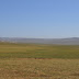 Mongolian Countryside