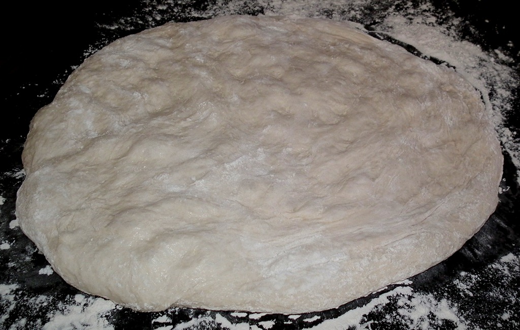 [Risen%2520dough%2520ready%2520to%2520cut%2520into%2520rolls%255B4%255D.jpg]