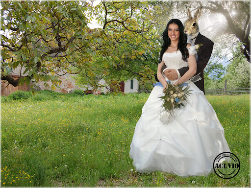 http://lh4.ggpht.com/-QiExlZB-huk/Tx8WJQZLHkI/AAAAAAAADeA/xCP5-RSlY7M/Funny%252520photo%252520Adelina%252520Pestritu.jpg