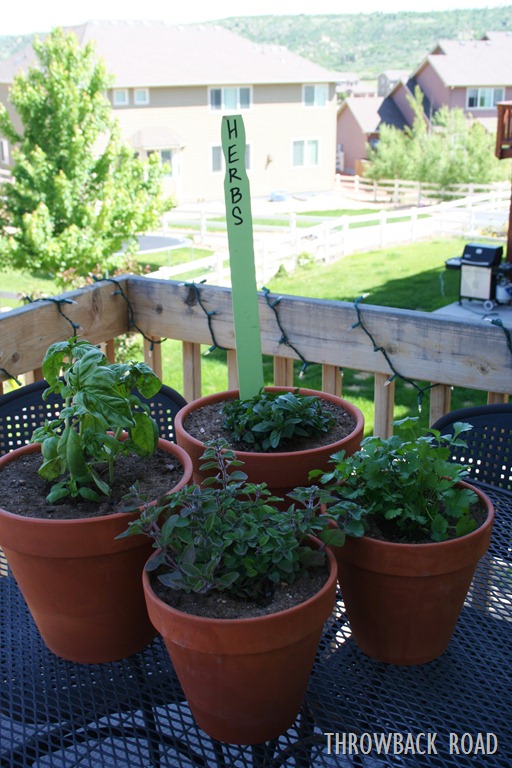 [garden%2520tour%2520may%252029%2520007%255B5%255D.jpg]