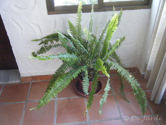 2013_01130048.jpg