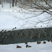 DMG_DSC08309.jpg