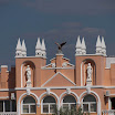 _MG_6416.jpg