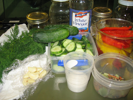 Sandy gathered together all of the ingredients for Shavon and I to start our pickling projects.
