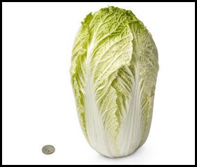 28-chinese-cabbage[1]