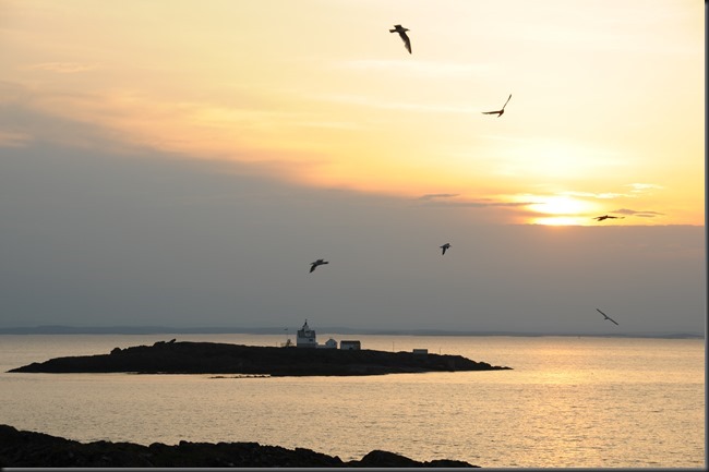 Struten fyr SEN_1297