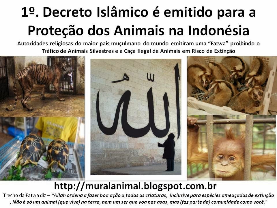 [fatwa%255B3%255D.jpg]