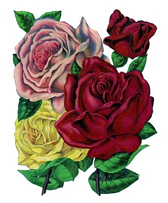 [rosescatalog-graphicsfairy008%255B3%255D.jpg]