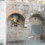 SAM_0369.JPG