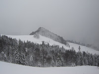 DSC07328.JPG