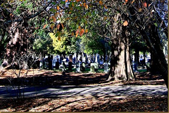 Masterton Cemetery